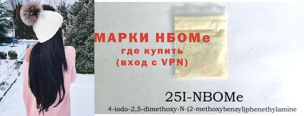 индика Заволжск
