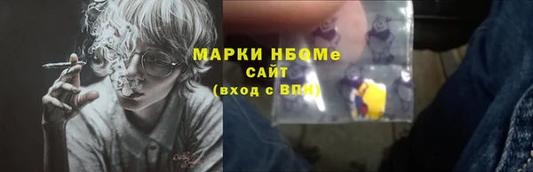 индика Заволжск