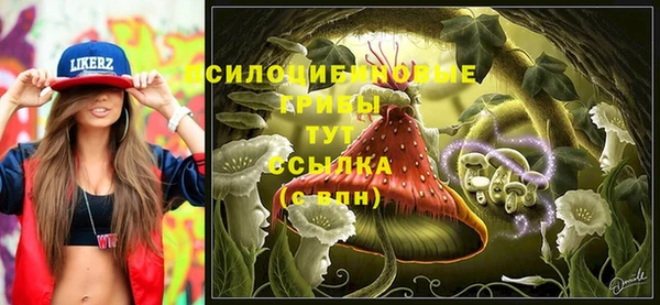 индика Заволжск