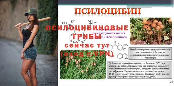 кокаин перу Заводоуковск