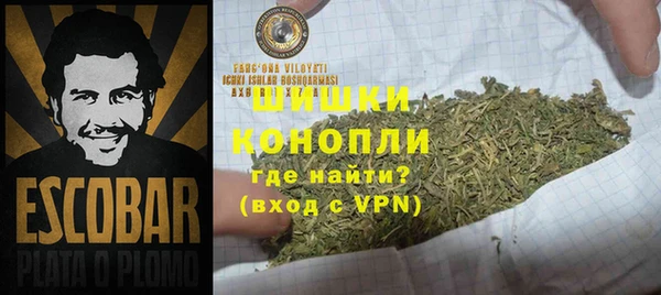 индика Заволжск