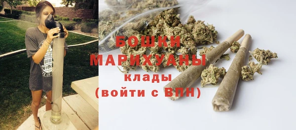 индика Заволжск
