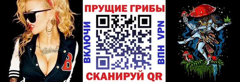 Галлюциногенные грибы Cubensis  Купить  Пролетарск 